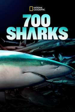 700 Sharks