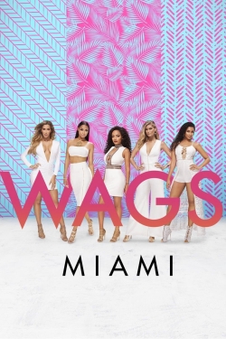 WAGS Miami