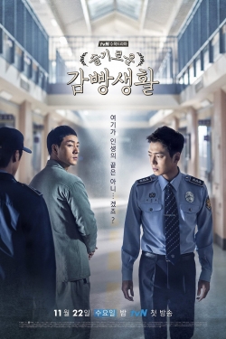 Prison Playbook