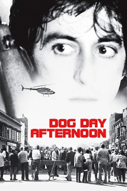 Dog Day Afternoon